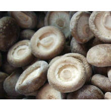 IQF Frozen Shiitake Mushroom Whole/Slice/Tube